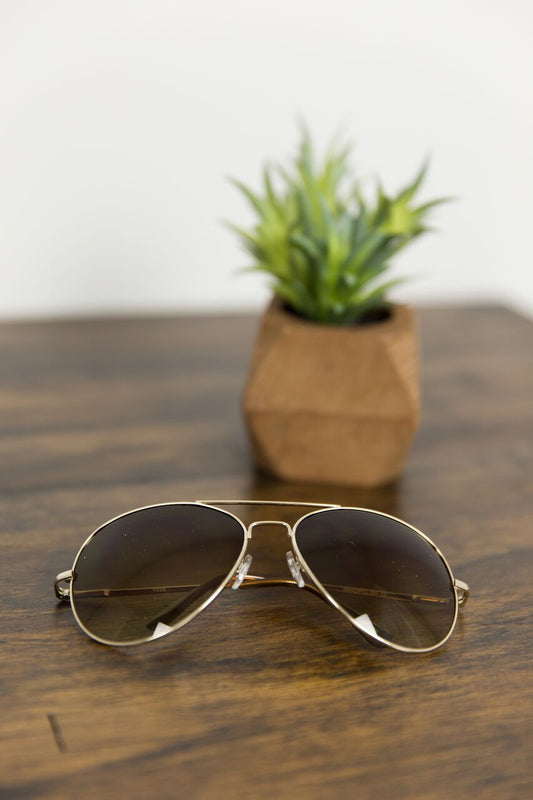 Classic Aviators in Brown