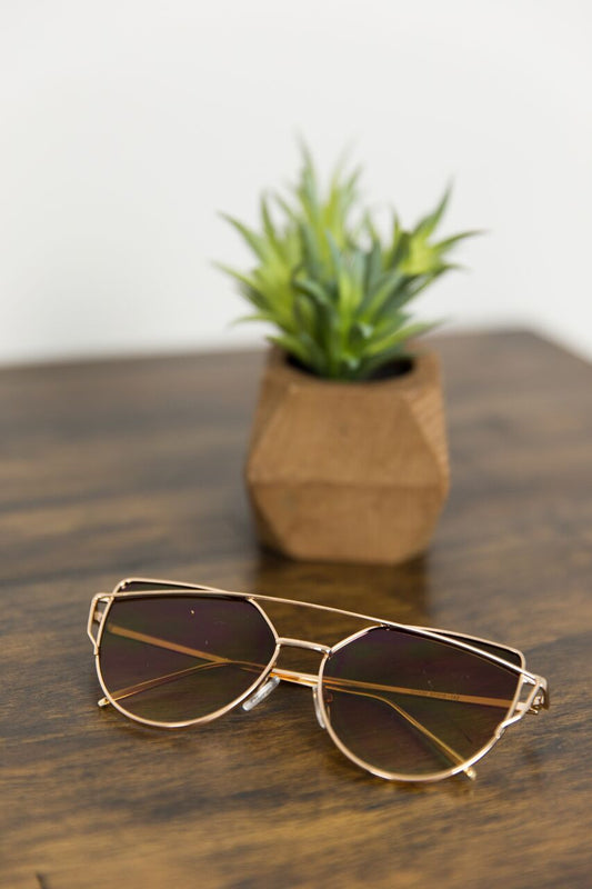 Gold Rimmed Sunnies